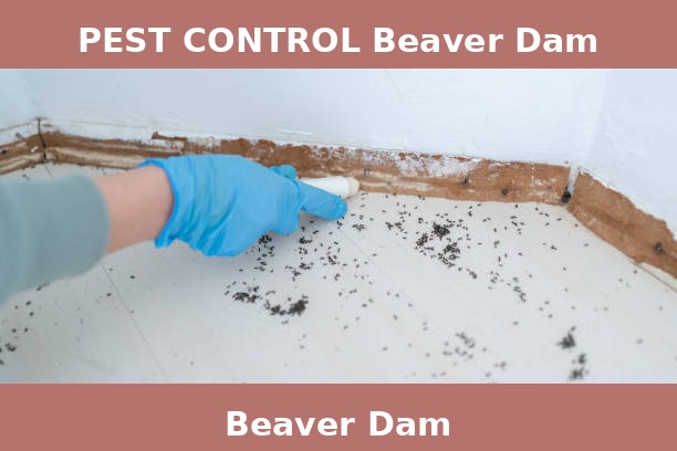 PEST CONTROL Beaver Dam